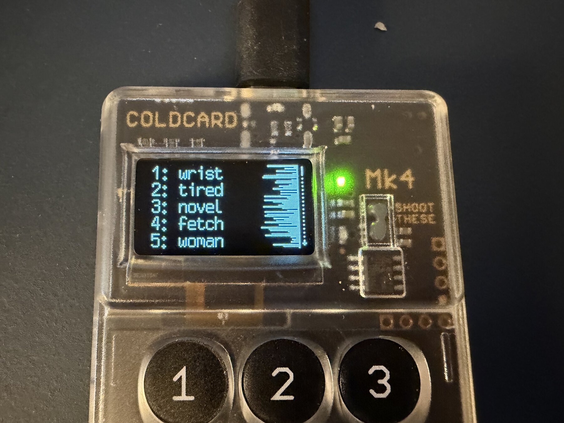 Coldcard MK4 running affected firmware 5.4.5 showing public test seed words 1 through 5