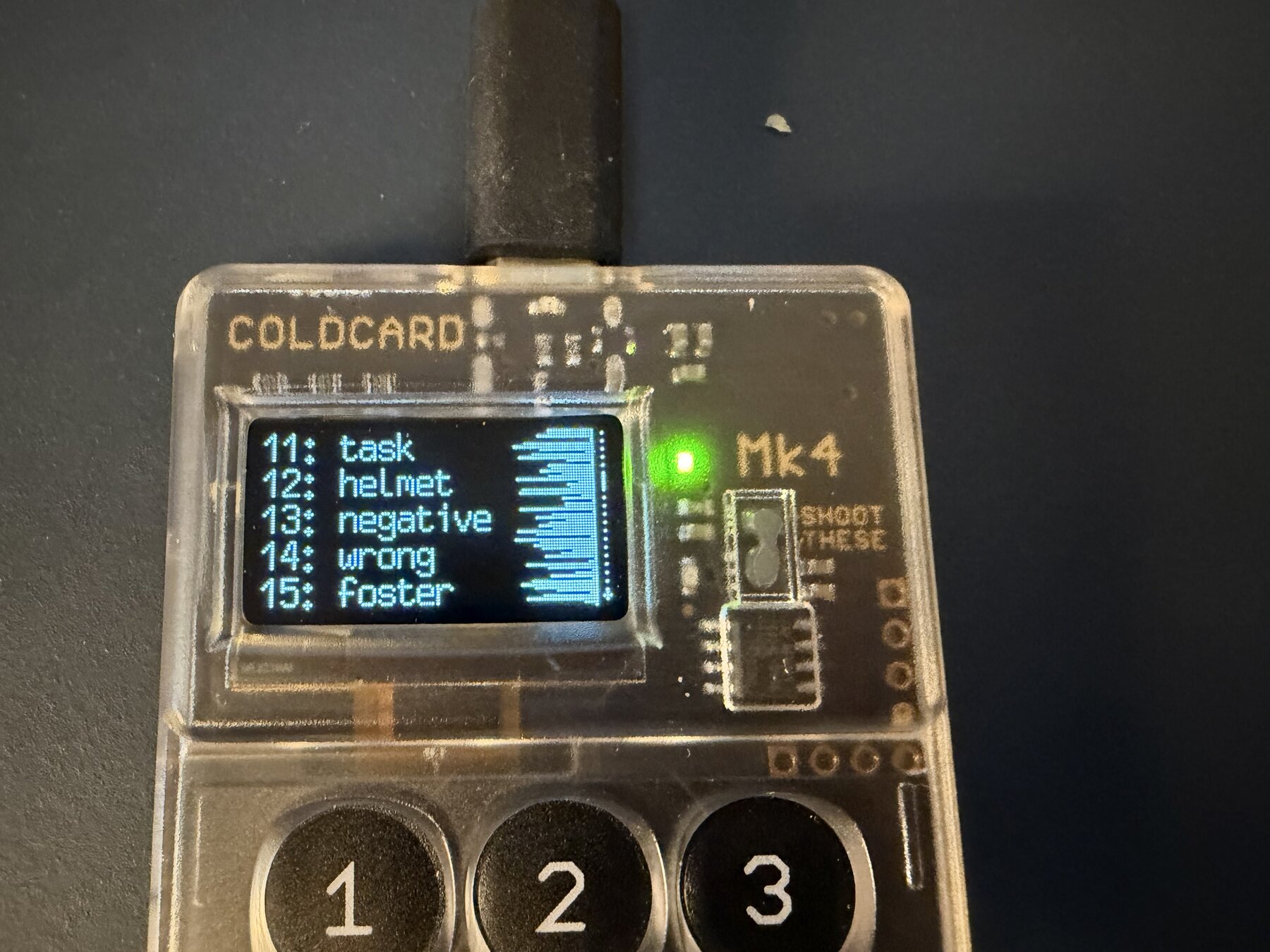 Coldcard MK4 running affected firmware 5.4.5 showing public test seed words 11 through 15