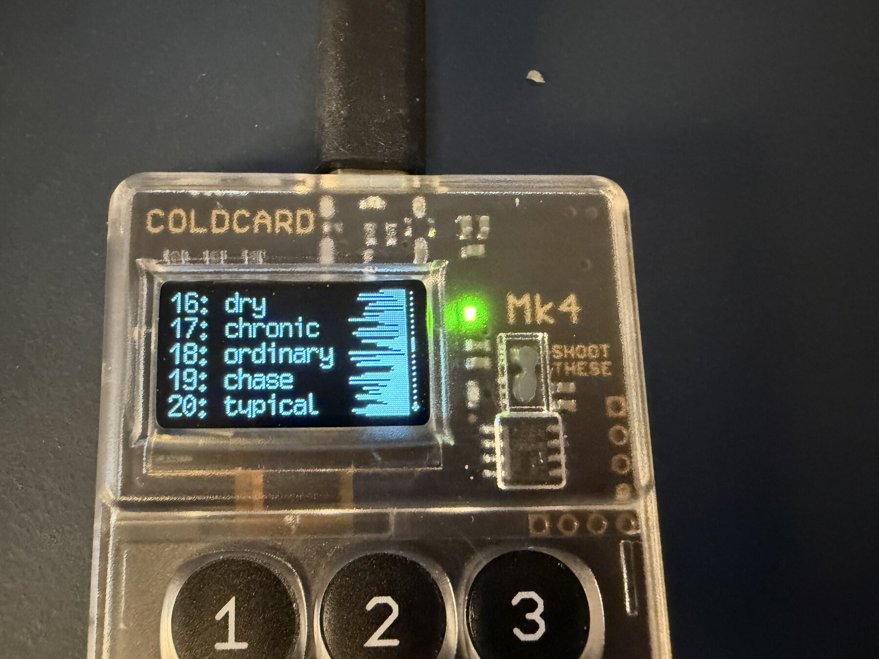 Coldcard MK4 running affected firmware 5.4.5 showing public test seed words 16 through 20