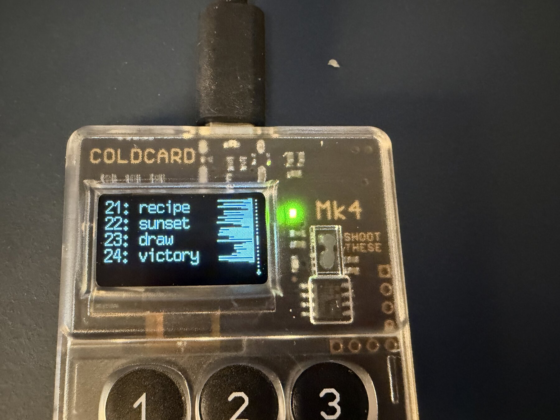 Coldcard MK4 running affected firmware 5.4.5 showing public test seed words 21 through 24