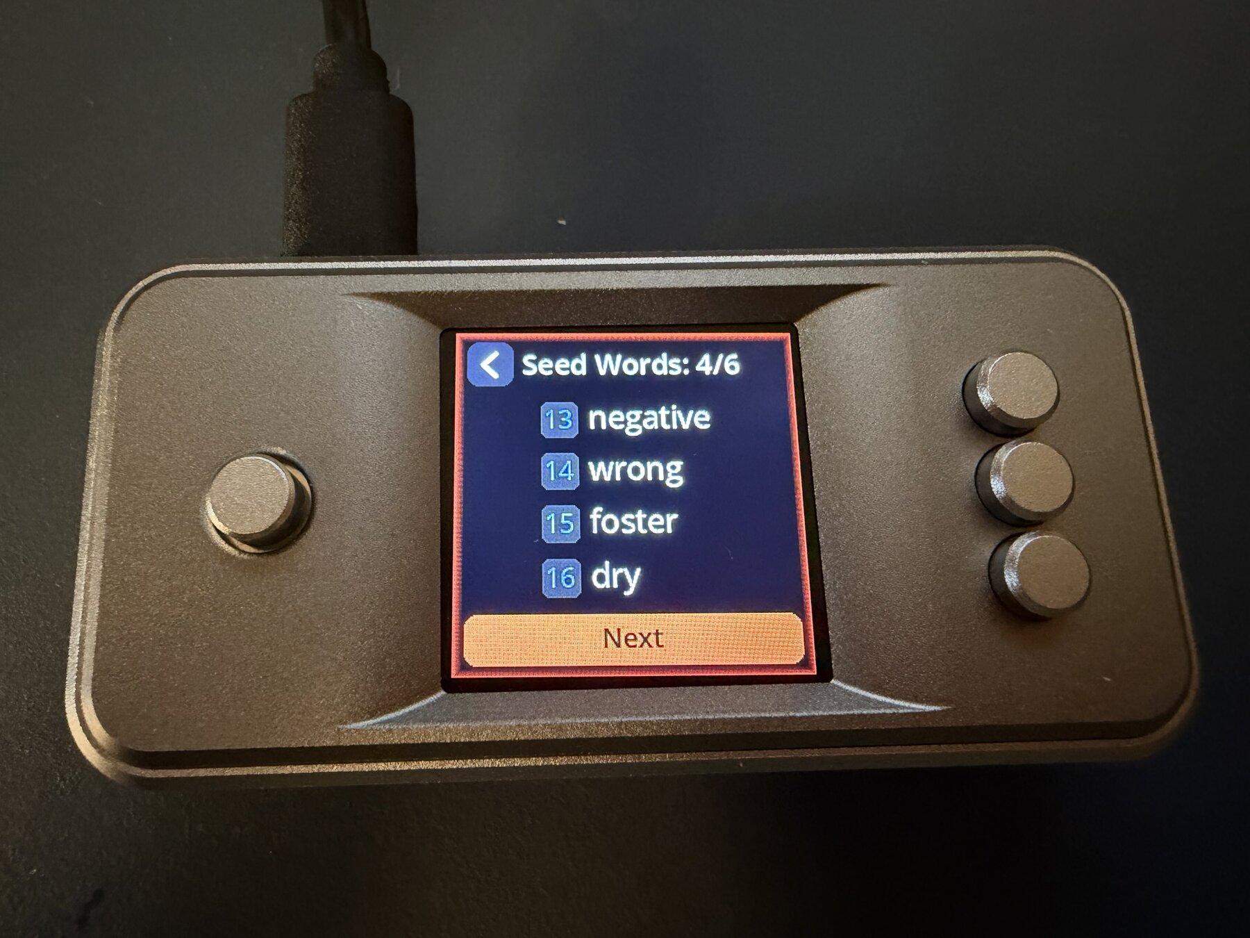 SeedSigner 0.8.7 showing public test seed words 13 through 16