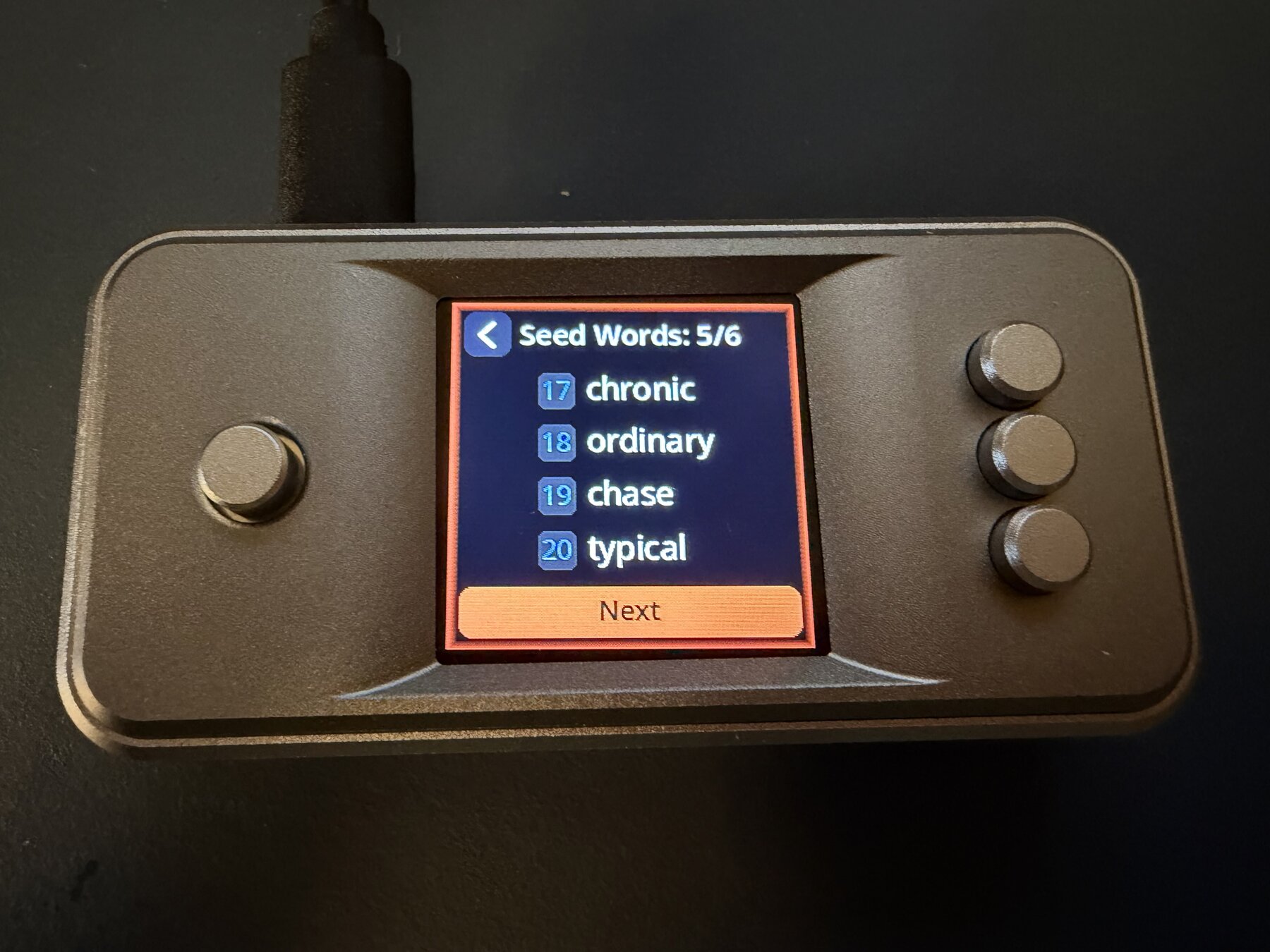 SeedSigner 0.8.7 showing public test seed words 17 through 20